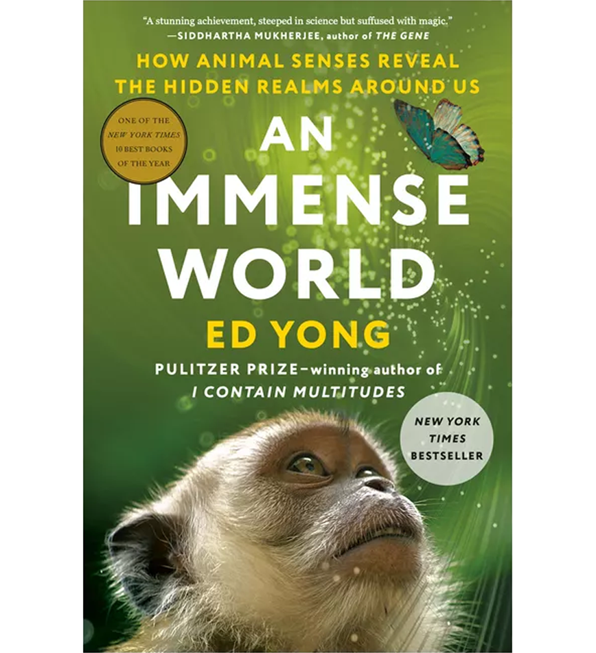 An Immense World